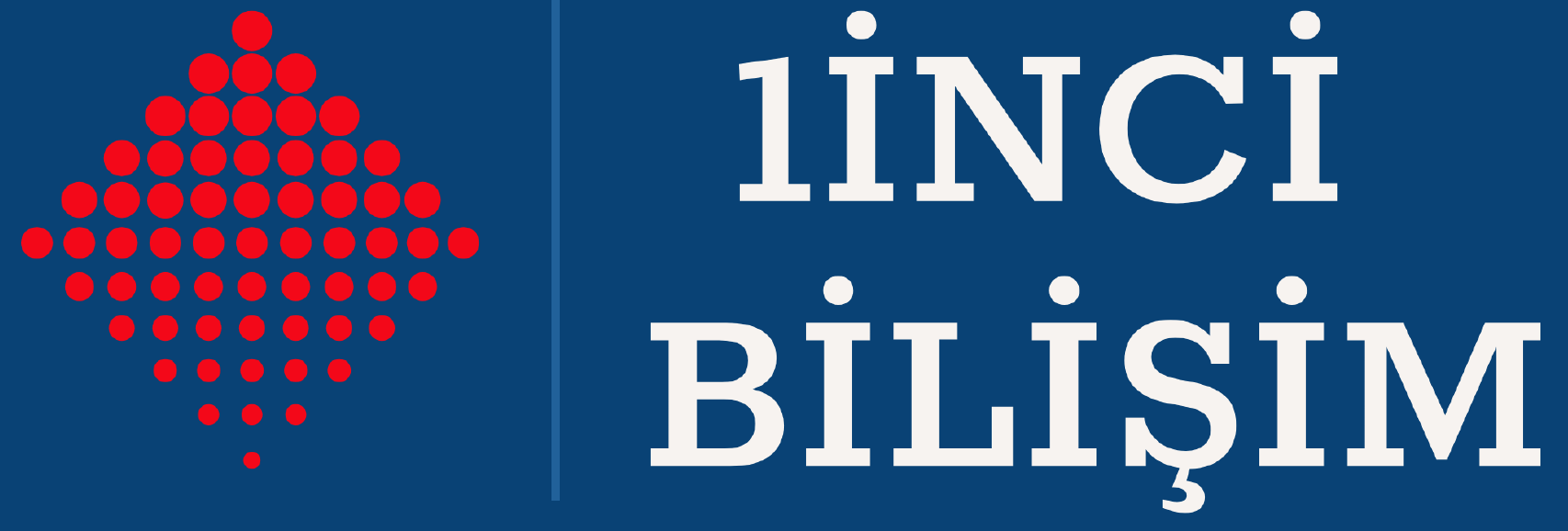 Birinci Bilişim